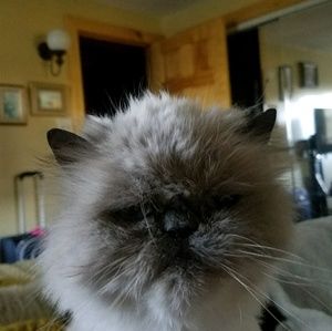 Meet your Posher, Lori